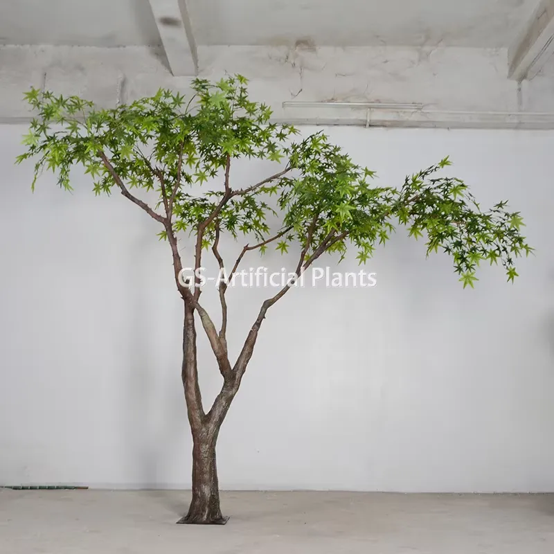 Nuovo Arrivo: Albero di Acero  - Baby Products Japanese recensione e prezzo