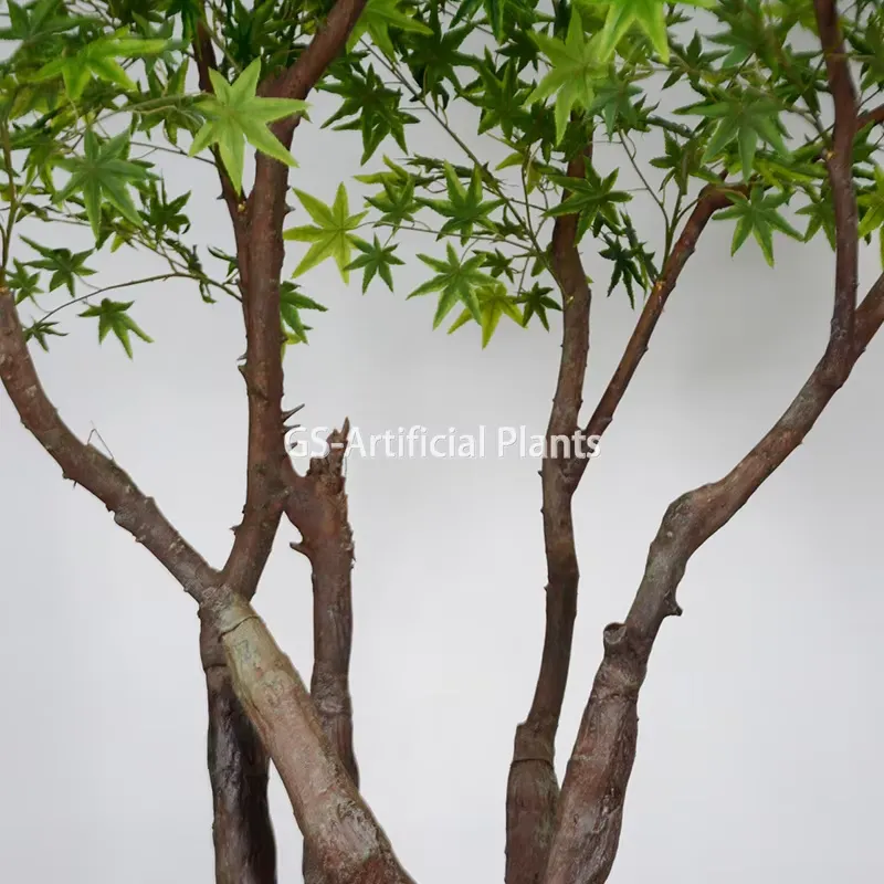 Nuovo Arrivo: Albero di Acero  - Baby Products Japanese recensione e prezzo