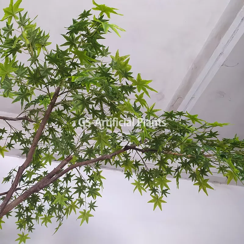 Nuovo Arrivo: Albero di Acero  - Baby Products Japanese recensione e prezzo